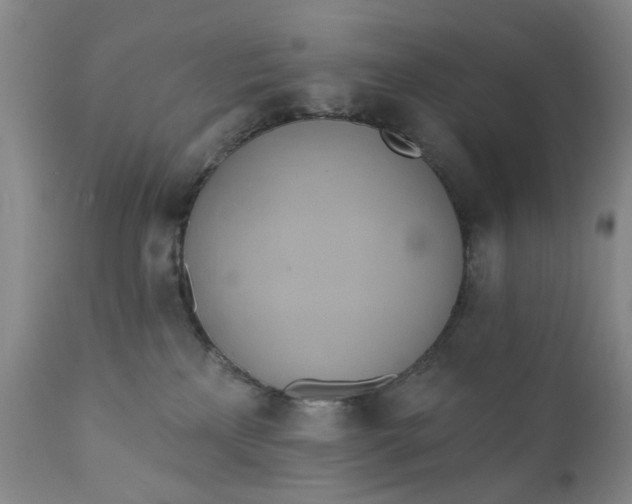 X0000110680233200906261328