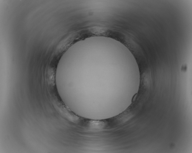 X0000110680234200906261328