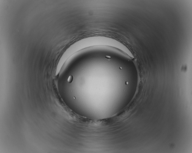 X0000110680235200906261328