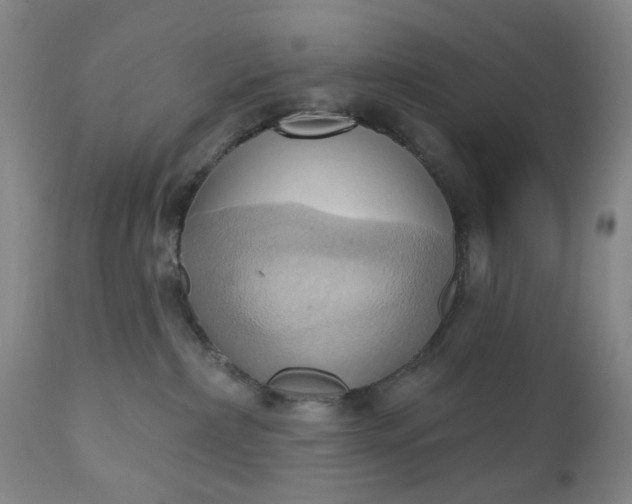 X0000110680236200906261328