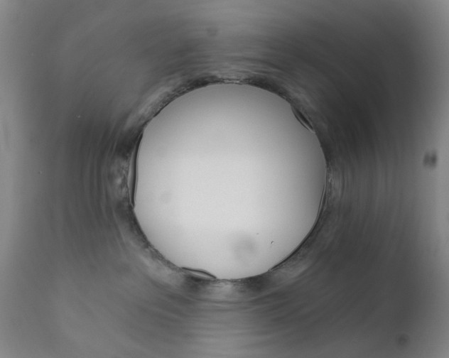 X0000110680237200906261328