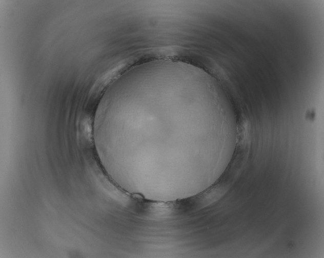 X0000110680238200906261328