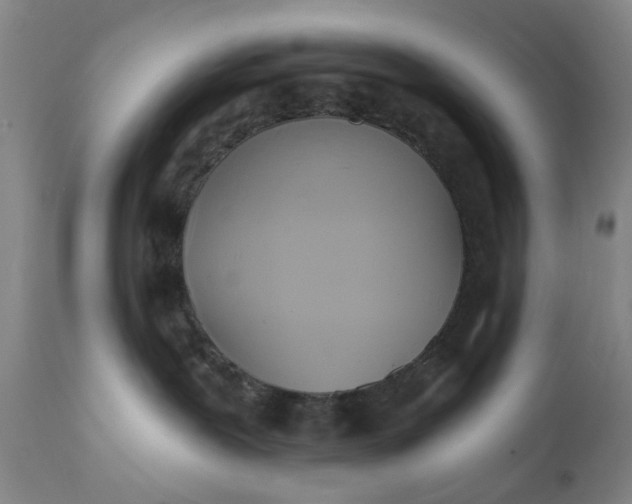 X0000110680239200906261328