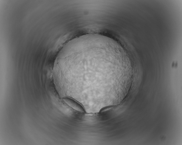 X0000110680240200906261328