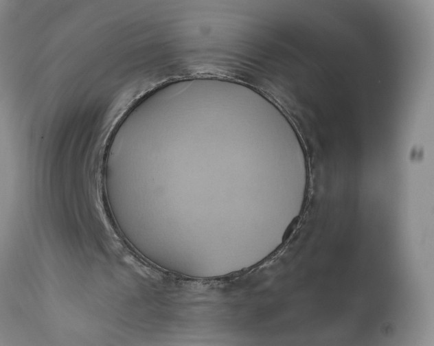 X0000110680241200906261327