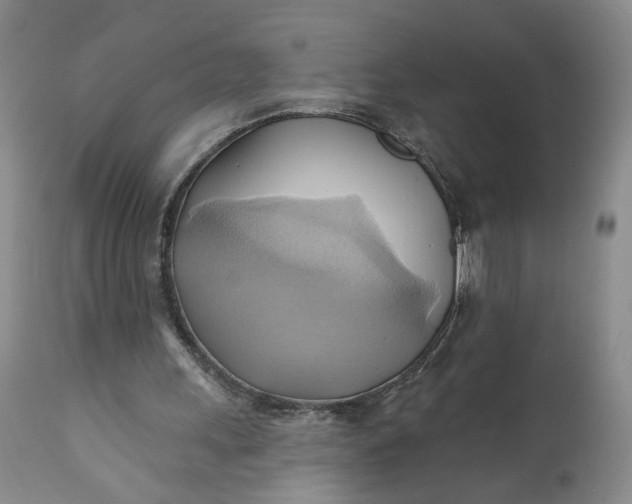 X0000110680243200906261327