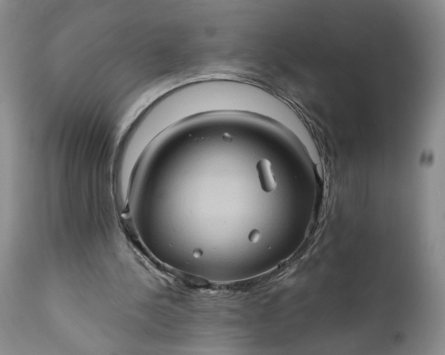 X0000110680244200906261327