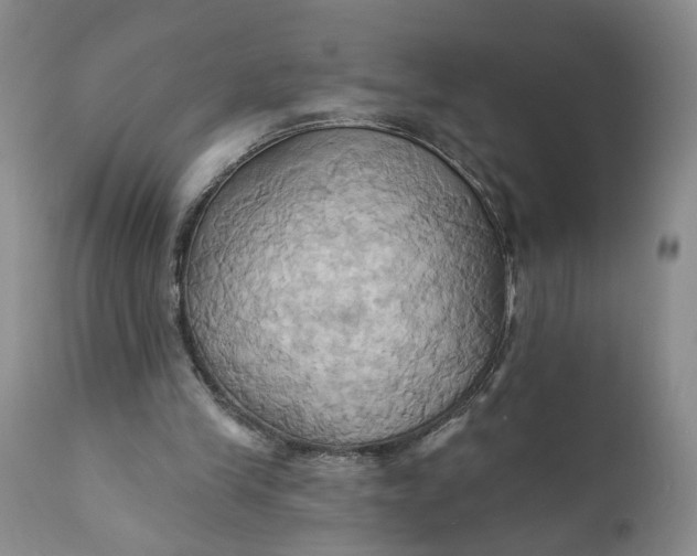 X0000110680245200906261327