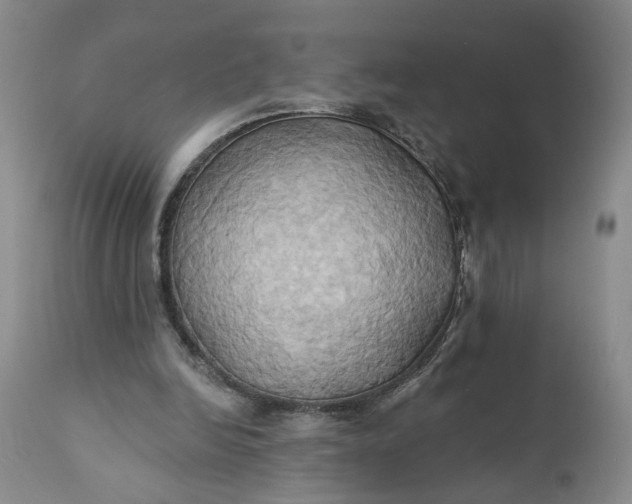 X0000110680246200906261327