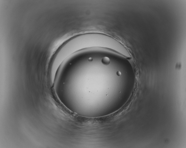 X0000110680248200906261327