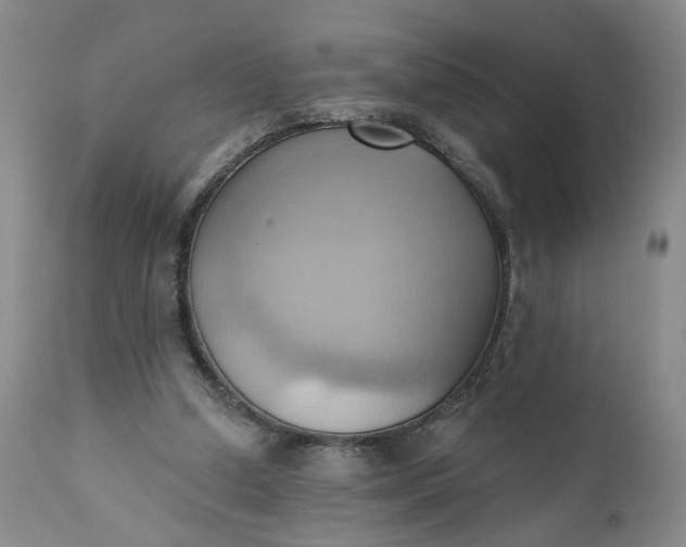 X0000110680250200906261327