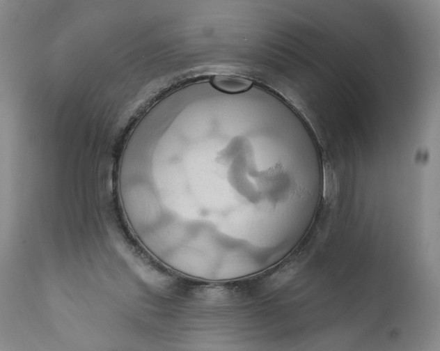 X0000110680253200906261327