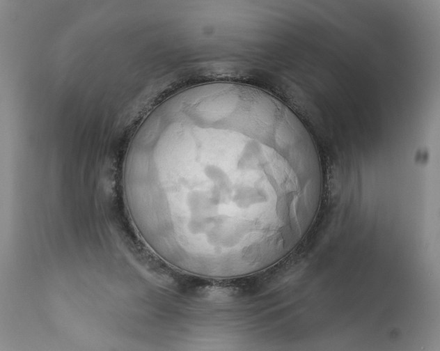 X0000110680255200906261327