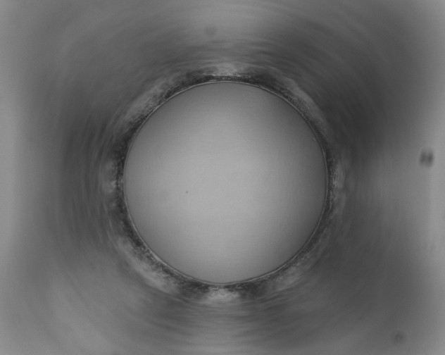 X0000110680257200906261327