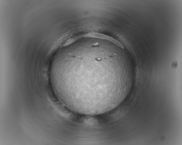 X0000110680258200906261327