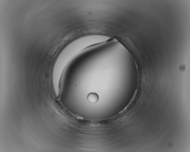 X0000110680260200906261327