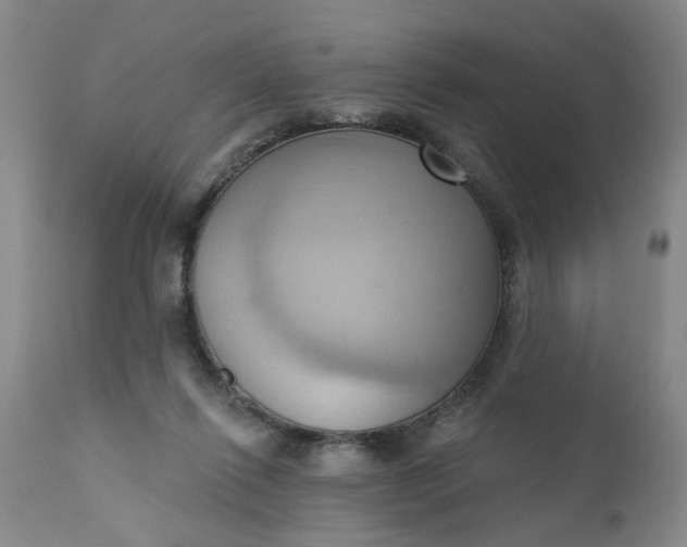 X0000110680262200906261327