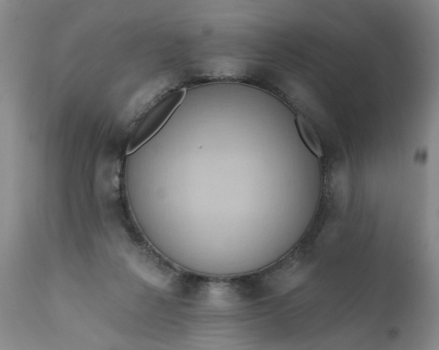 X0000110680264200906261328