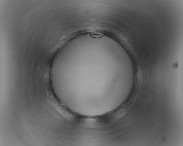 X0000110680265200906261328