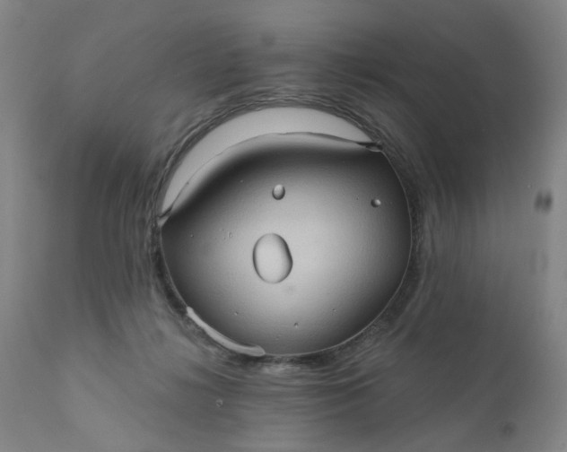 X0000110680268200906261328