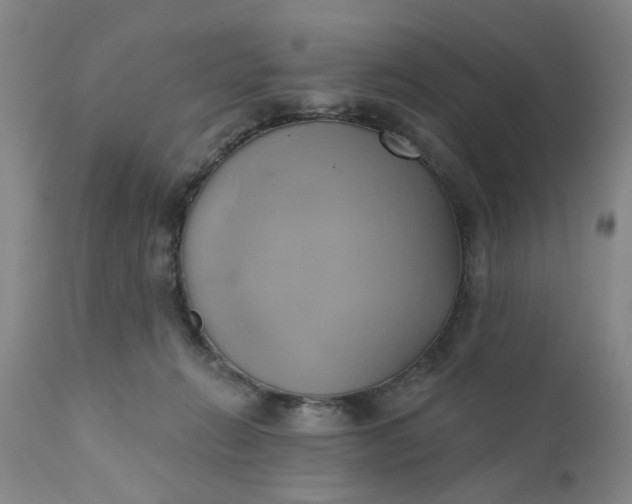 X0000110680270200906261328