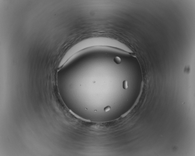 X0000110680272200906261328