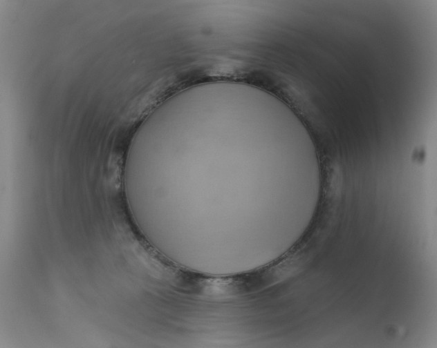 X0000110680273200906261328