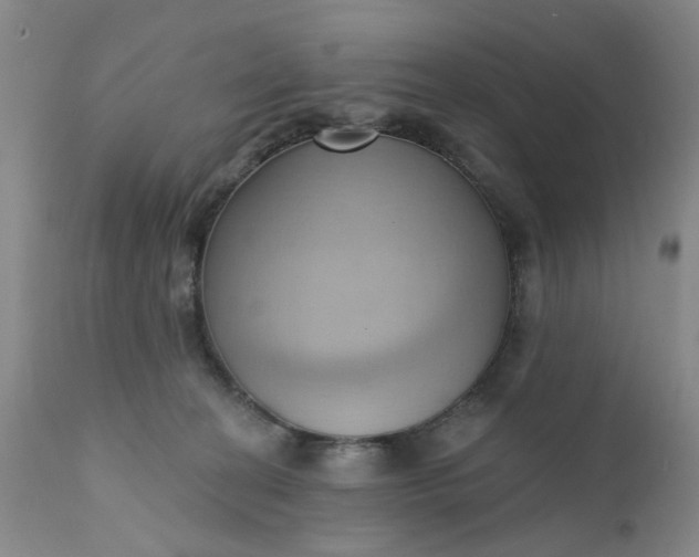 X0000110680274200906261328