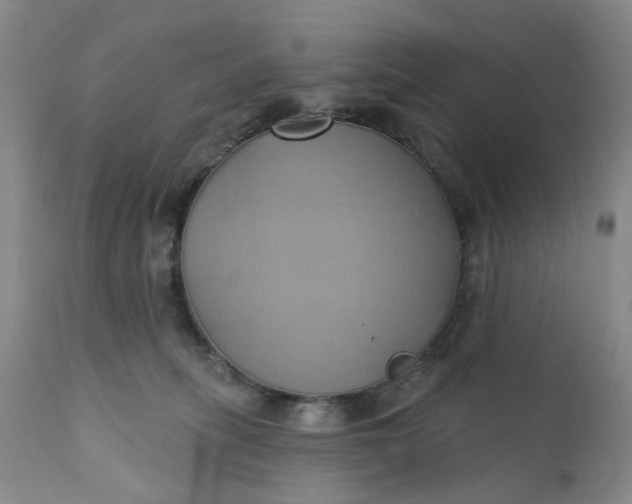 X0000110680275200906261328