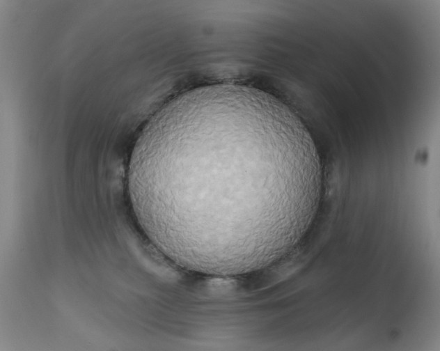 X0000110680279200906261328