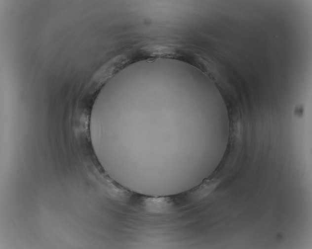 X0000110680281200906261328