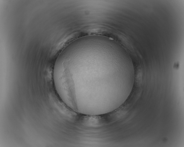 X0000110680282200906261328