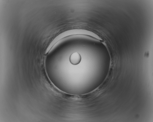 X0000110680284200906261328