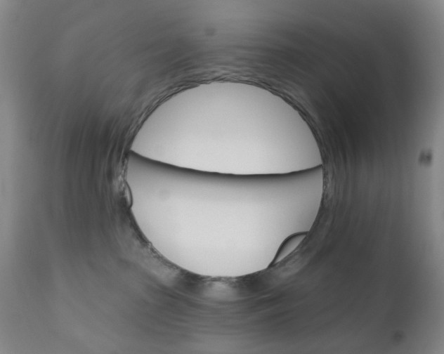 X0000110680285200906261328