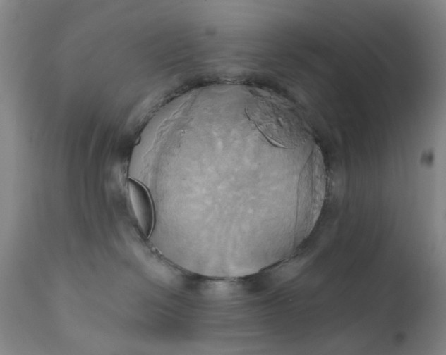 X0000110680286200906261328