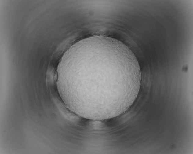 X0000110680287200906261328