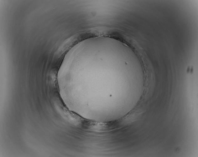 X0000110680288200906261328