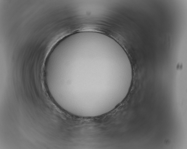 X0000110680289200906261327