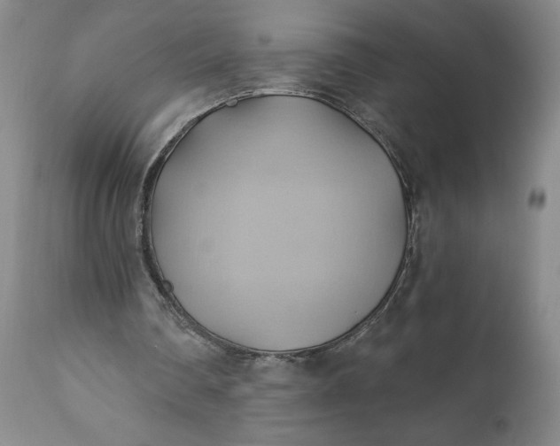 X0000110680290200906261327