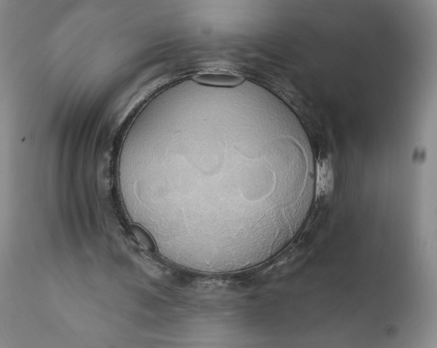 X0000110680291200906261327