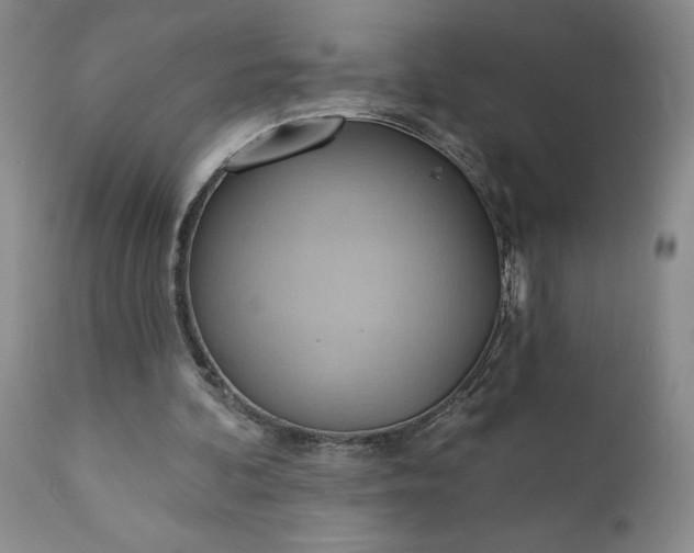 X0000110680292200906261327