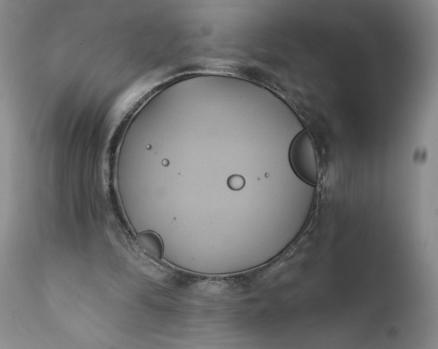 X0000110680294200906261327