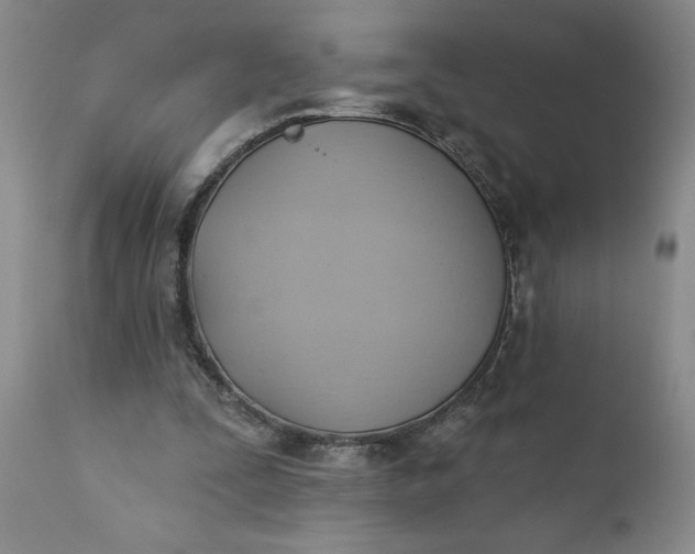 X0000110680295200906261327