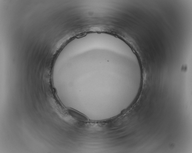 X0000110680297200906261327