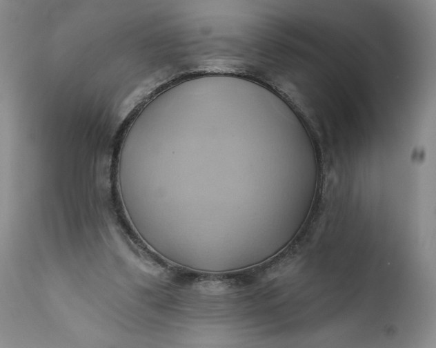 X0000110680299200906261327