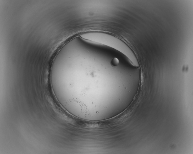 X0000110680301200906261327