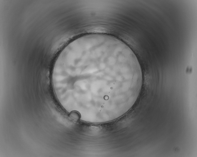 X0000110680302200906261327