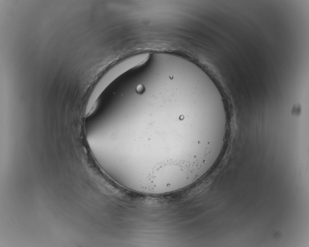 X0000110680305200906261327