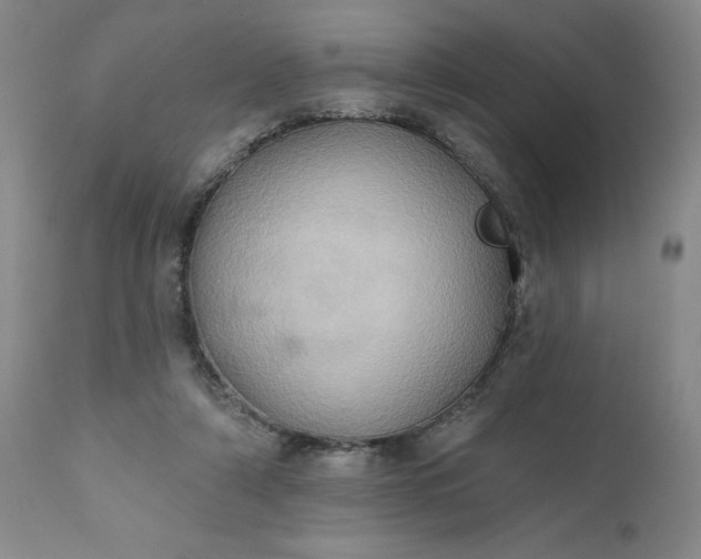 X0000110680306200906261327