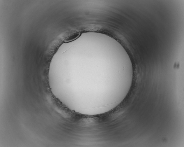 X0000110680307200906261327